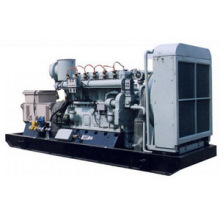 20kVA-1980kVA Methan / Biogas Genset Hersteller